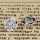 Gift Silver Earring For Womens Jewelry